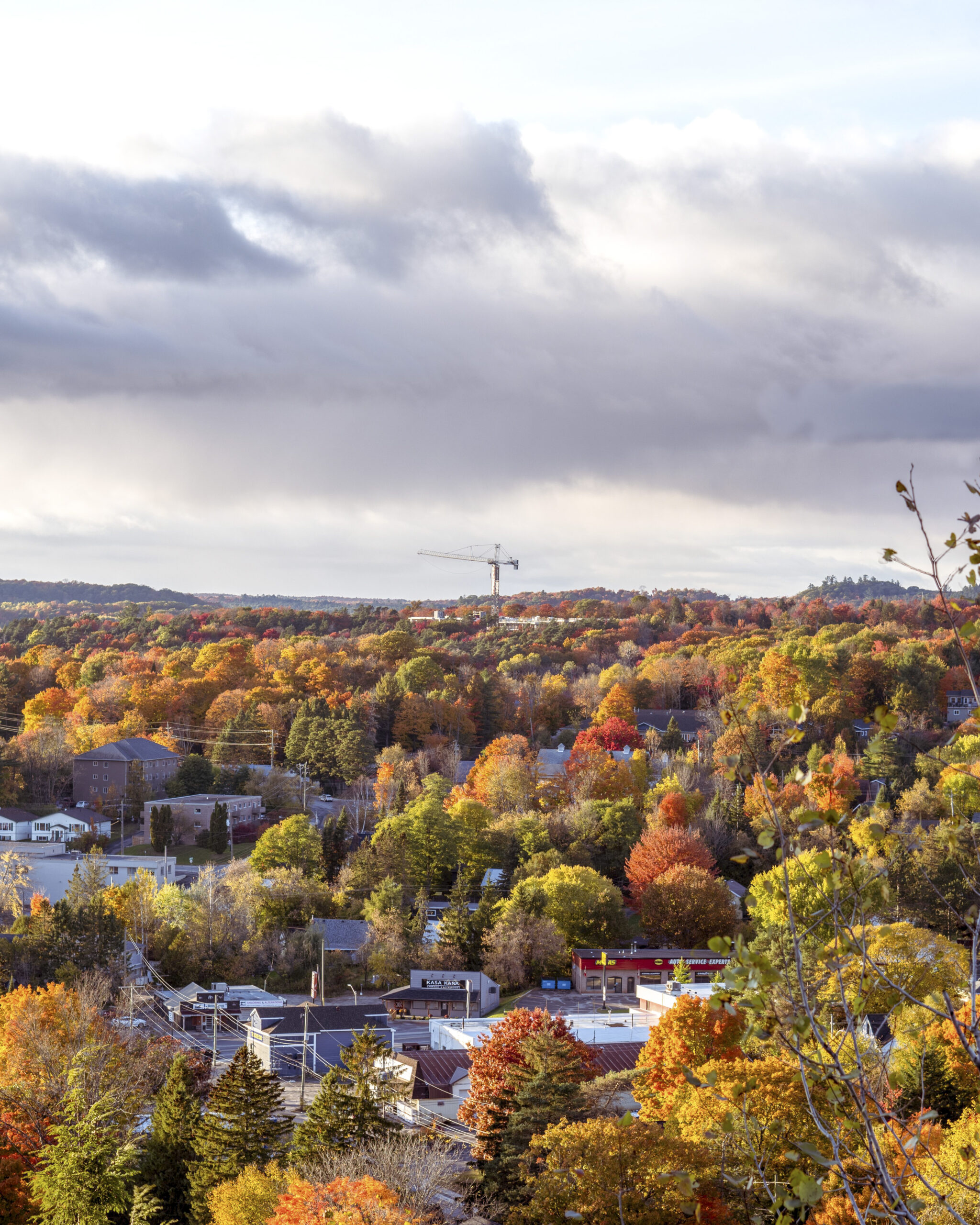 Orillia city view
